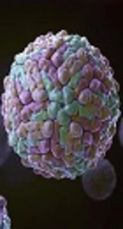Antiviral Activity of Thiazolide Derivatives Against Dengue Virus in Huh-7 Cell Line